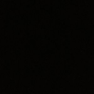 Meet your Posher, Brentley